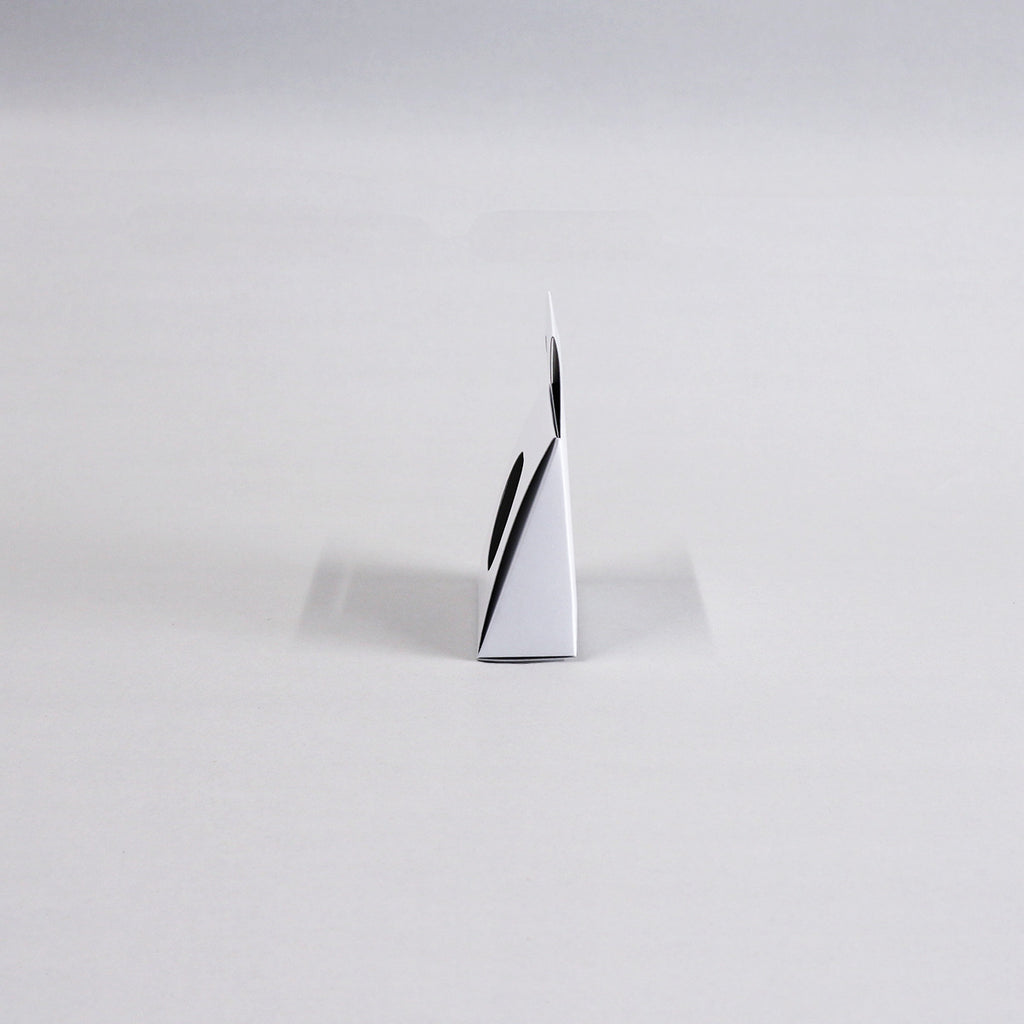 Triangular hanging case