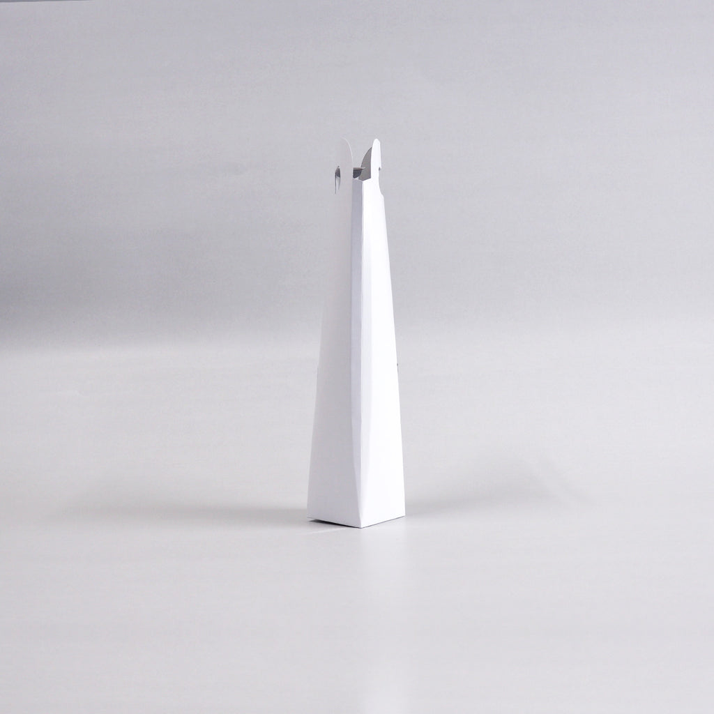 Portable bottle case