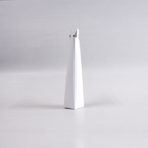 Portable bottle case