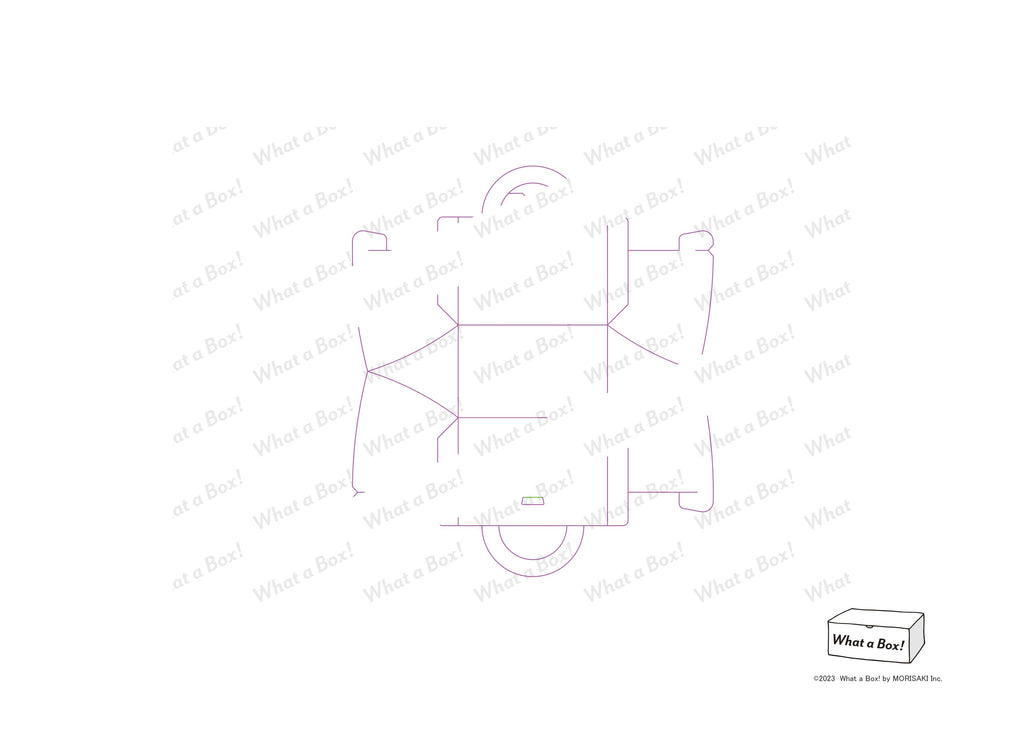 Branded bag style case