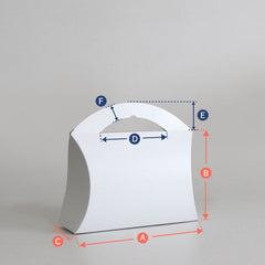 Carry case inspired by a handbag