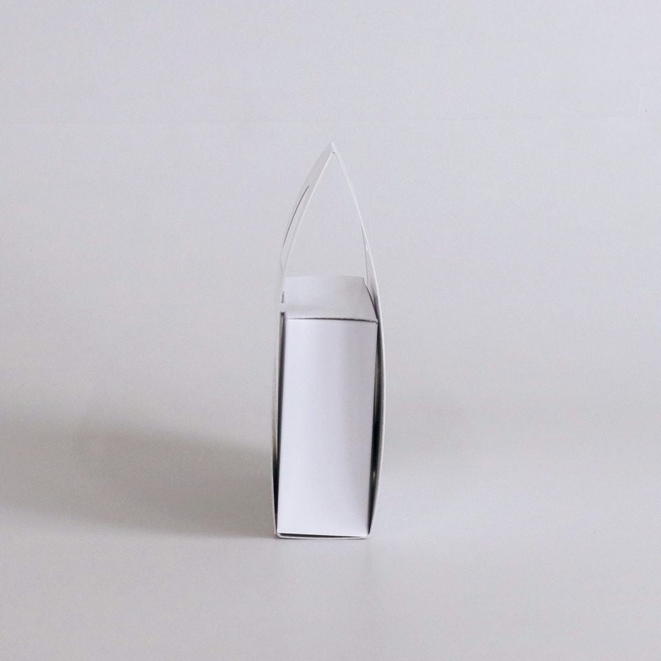 キャリーケース  (2)