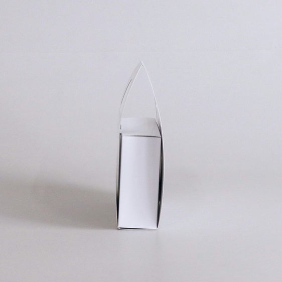 キャリーケース  (2)