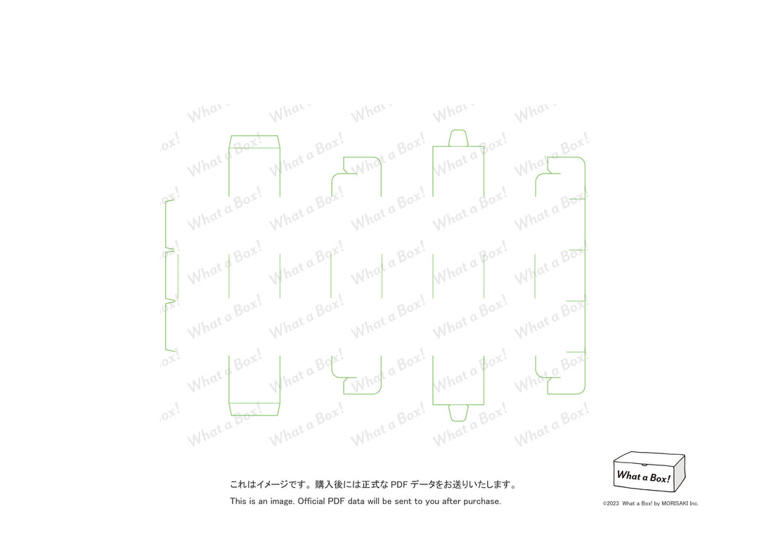 Octagonal Carton with Dividers – What a box! -original structural ...